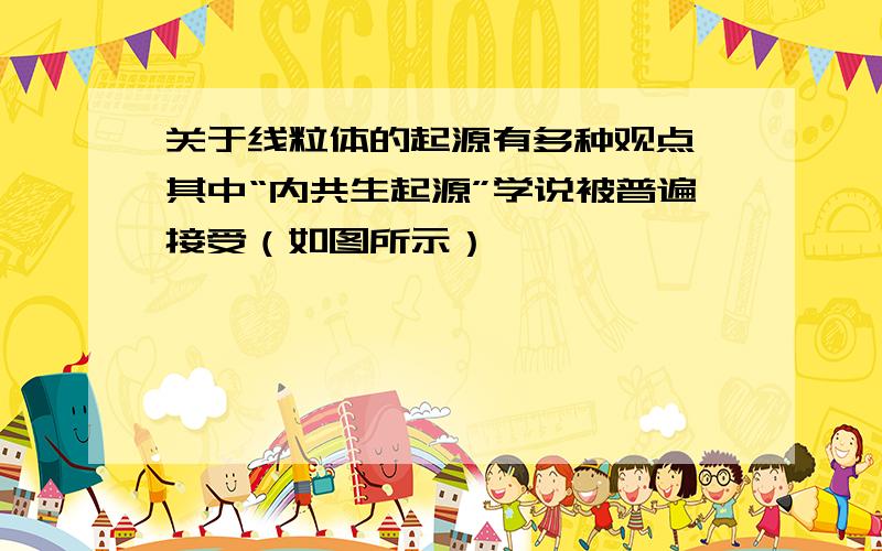 关于线粒体的起源有多种观点,其中“内共生起源”学说被普遍接受（如图所示）