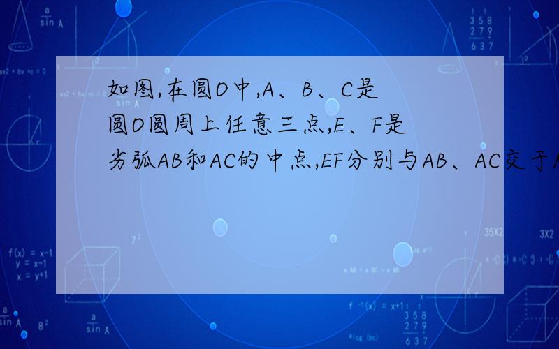 如图,在圆O中,A、B、C是圆O圆周上任意三点,E、F是劣弧AB和AC的中点,EF分别与AB、AC交于M、N,则△AMN是知道的请回答谢谢了.