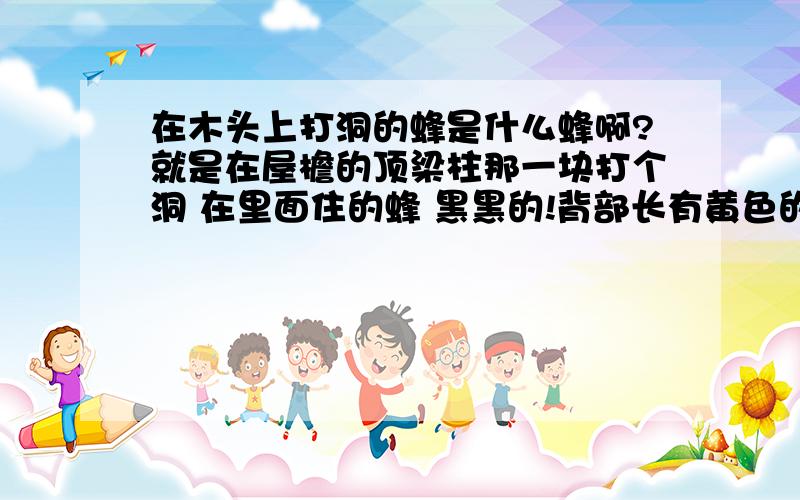 在木头上打洞的蜂是什么蜂啊?就是在屋檐的顶梁柱那一块打个洞 在里面住的蜂 黑黑的!背部长有黄色的绒毛!