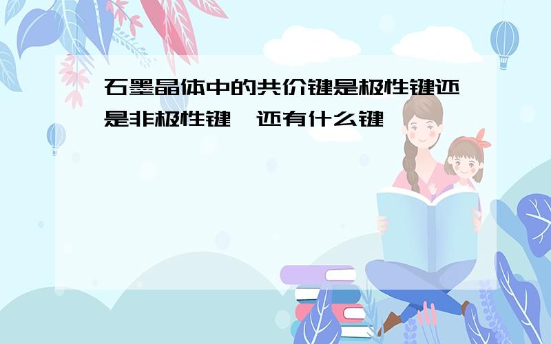 石墨晶体中的共价键是极性键还是非极性键、还有什么键