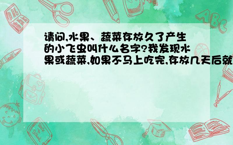 请问,水果、蔬菜存放久了产生的小飞虫叫什么名字?我发现水果或蔬菜,如果不马上吃完,存放几天后就会产生大量的小飞虫,在夏季这种情况更加严重.小飞虫数量很多,个头似乎比蚊子要小,但