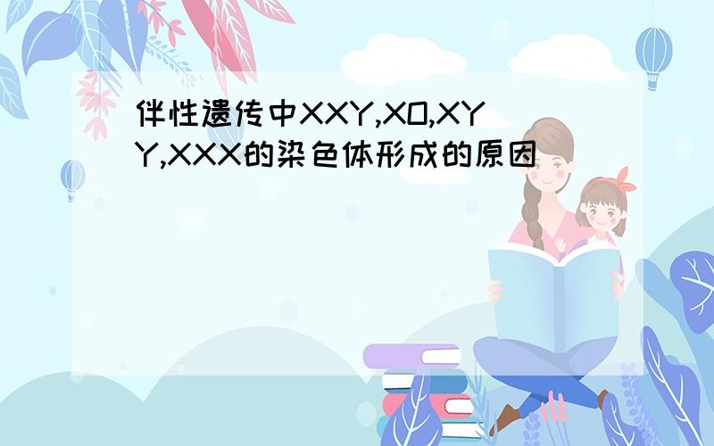 伴性遗传中XXY,XO,XYY,XXX的染色体形成的原因