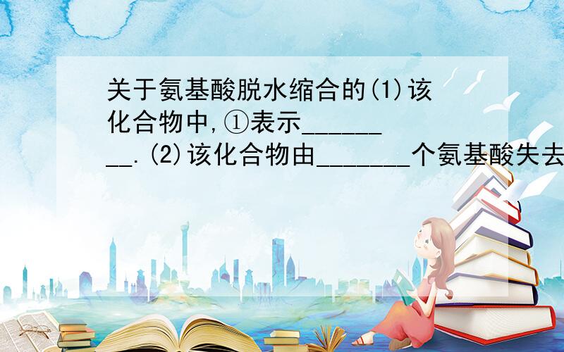 关于氨基酸脱水缩合的(1)该化合物中,①表示________.(2)该化合物由_______个氨基酸失去__________个水分子而形成,这种反应叫做脱水缩合.(3)该化合物中的氨基酸种类不同,是由R基团决定的,其编号