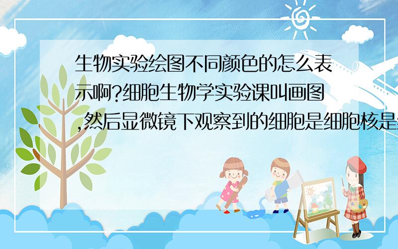 生物实验绘图不同颜色的怎么表示啊?细胞生物学实验课叫画图,然后显微镜下观察到的细胞是细胞核是绿色,细胞质是红色,用铅笔怎么表达出来?