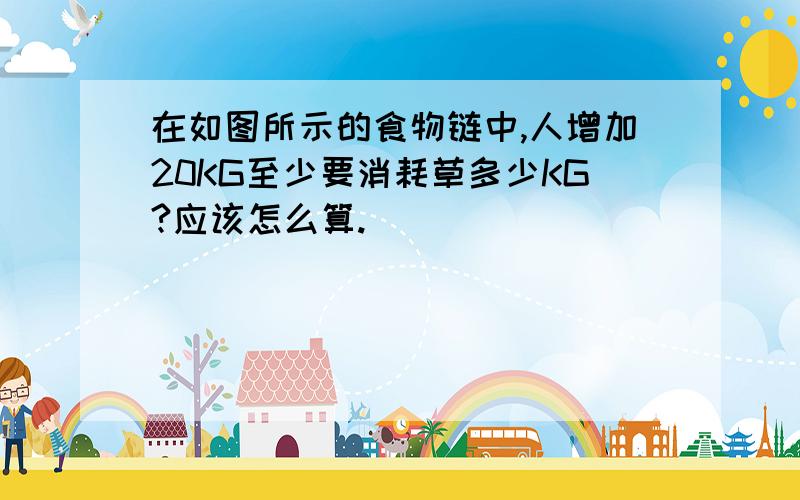 在如图所示的食物链中,人增加20KG至少要消耗草多少KG?应该怎么算.