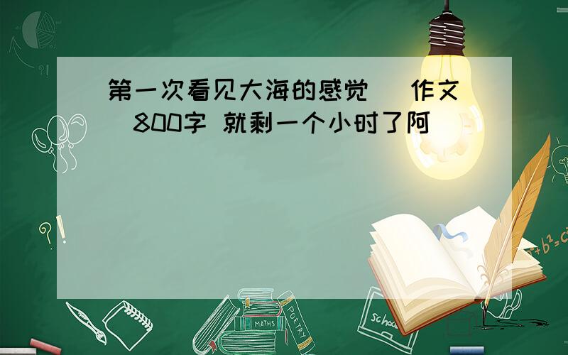 第一次看见大海的感觉 (作文)800字 就剩一个小时了阿