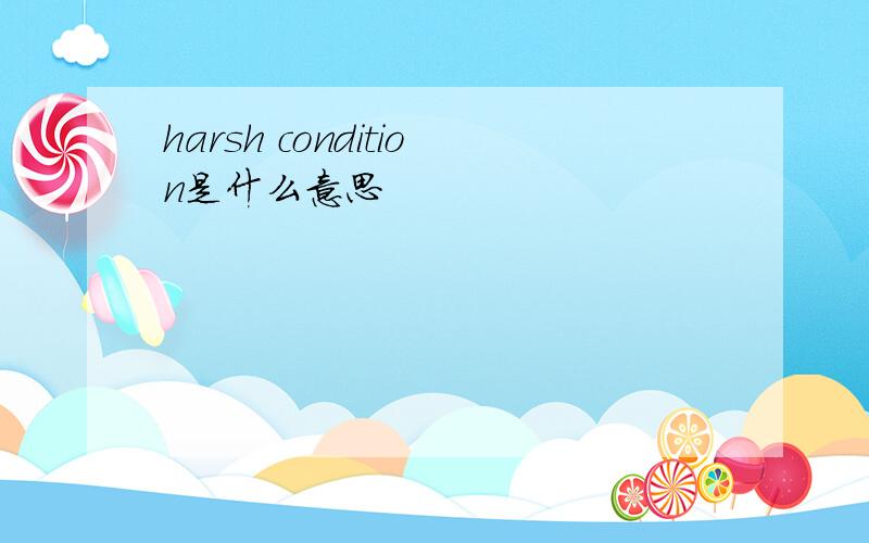 harsh condition是什么意思