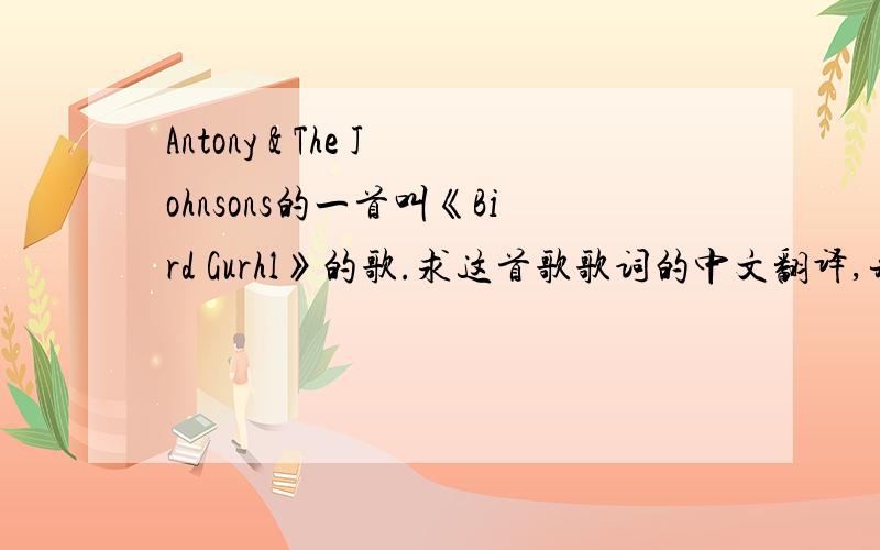 Antony & The Johnsons的一首叫《Bird Gurhl》的歌.求这首歌歌词的中文翻译,并说明这首歌的含义.