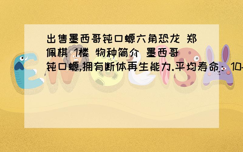 出售墨西哥钝口螈六角恐龙 郑佩棋 1楼 物种简介 墨西哥钝口螈,拥有断体再生能力.平均寿命：10-15年.CITE