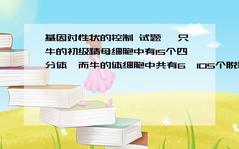 基因对性状的控制 试题 一只牛的初级精母细胞中有15个四分体,而牛的体细胞中共有6×105个脱氧核苷酸,假设平均每1000个碱基对中有一个基因（双链）.牛的体细胞中有n条染色体,每条染色体上