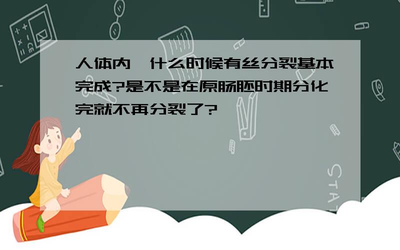 人体内,什么时候有丝分裂基本完成?是不是在原肠胚时期分化完就不再分裂了?