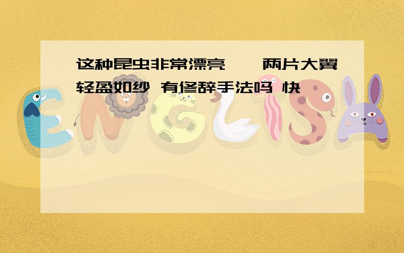 这种昆虫非常漂亮……两片大翼轻盈如纱 有修辞手法吗 快,