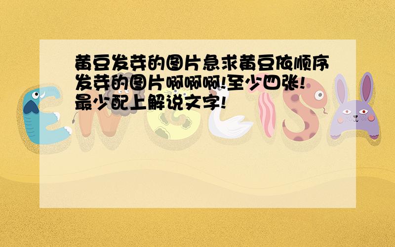 黄豆发芽的图片急求黄豆依顺序发芽的图片啊啊啊!至少四张!最少配上解说文字!