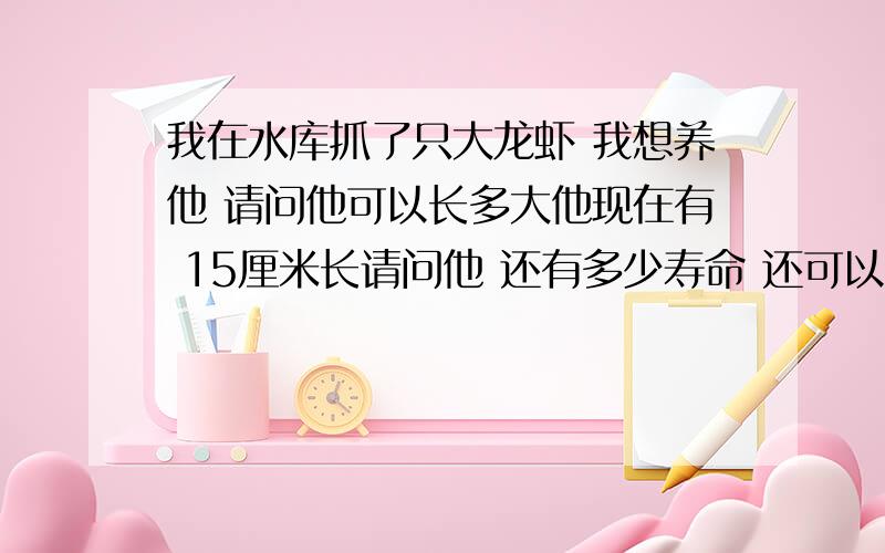 我在水库抓了只大龙虾 我想养他 请问他可以长多大他现在有 15厘米长请问他 还有多少寿命 还可以继续长多大