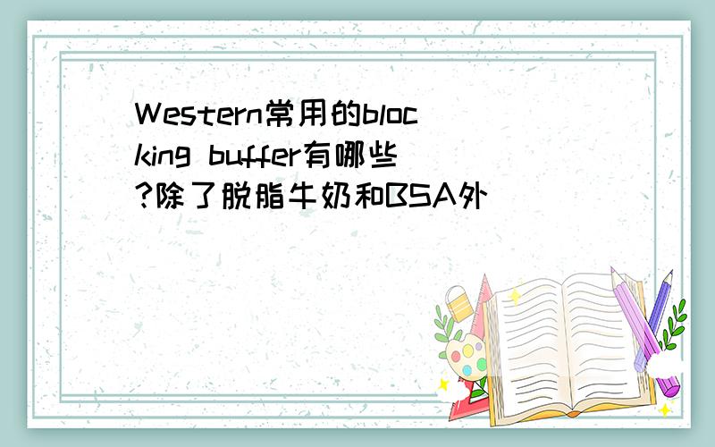 Western常用的blocking buffer有哪些?除了脱脂牛奶和BSA外