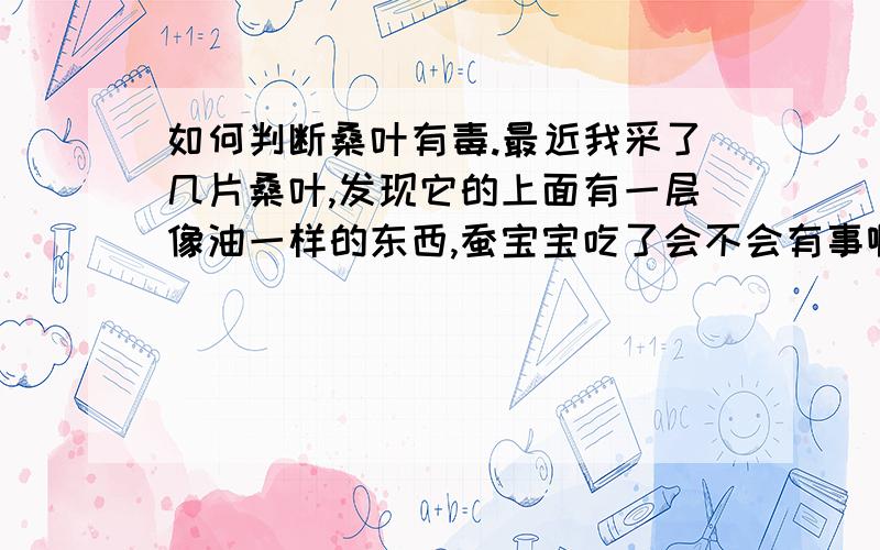 如何判断桑叶有毒.最近我采了几片桑叶,发现它的上面有一层像油一样的东西,蚕宝宝吃了会不会有事啊