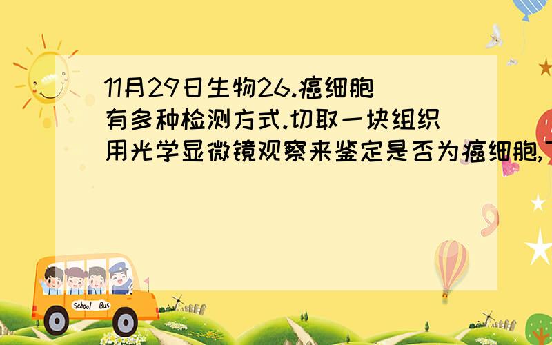 11月29日生物26.癌细胞有多种检测方式.切取一块组织用光学显微镜观察来鉴定是否为癌细胞,下列最可靠的依据是（ ）A．观察细胞染色体数目是否改变 B．观察细胞原癌基因是否突变C．观察