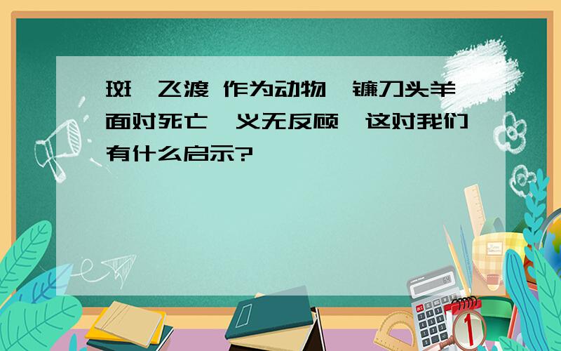 斑羚飞渡 作为动物,镰刀头羊面对死亡,义无反顾,这对我们有什么启示?