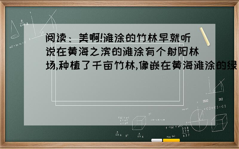 阅读：美啊!滩涂的竹林早就听说在黄海之滨的滩涂有个射阳林场,种植了千亩竹林,像嵌在黄海滩涂的绿色翡翠.今天我终于有机会见到了美丽的滩涂竹林. 汽车朝海边开了一个多小时,便见远远