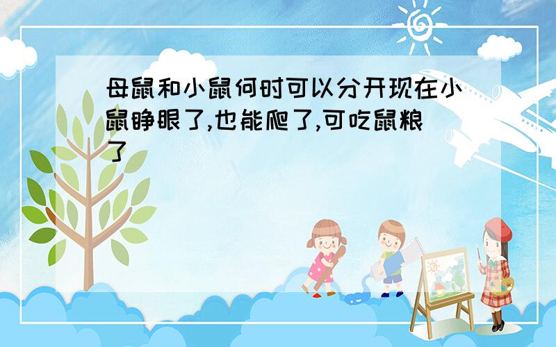 母鼠和小鼠何时可以分开现在小鼠睁眼了,也能爬了,可吃鼠粮了