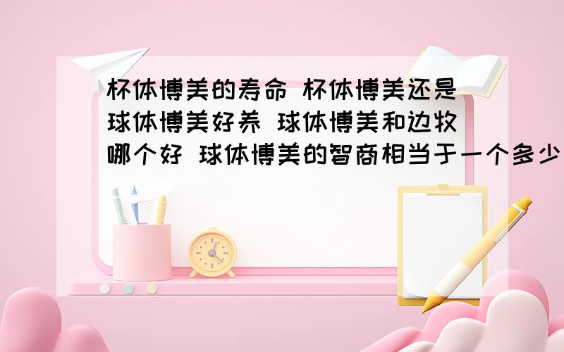 杯体博美的寿命 杯体博美还是球体博美好养 球体博美和边牧哪个好 球体博美的智商相当于一个多少岁的小孩