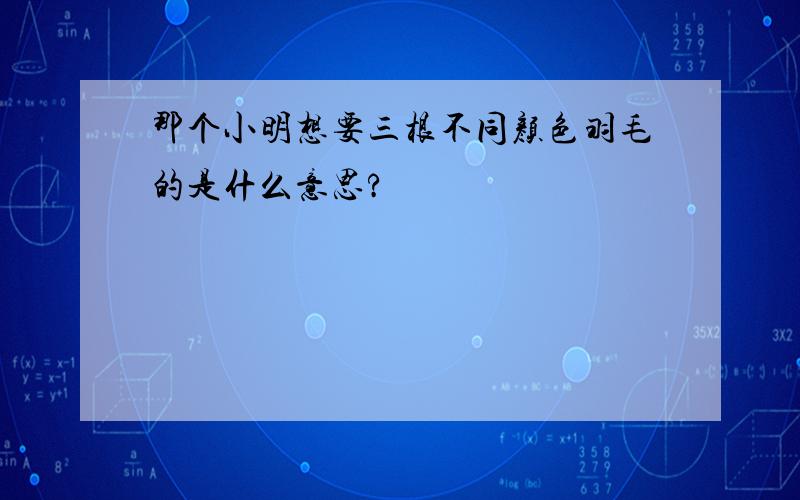 那个小明想要三根不同颜色羽毛的是什么意思?