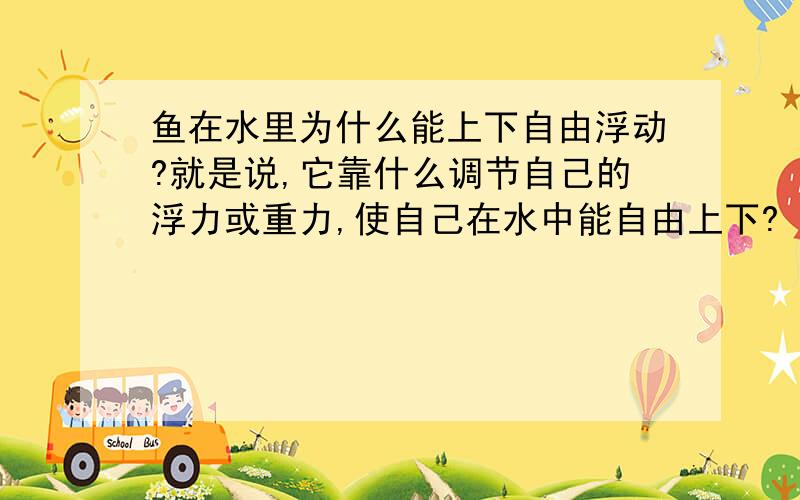 鱼在水里为什么能上下自由浮动?就是说,它靠什么调节自己的浮力或重力,使自己在水中能自由上下?