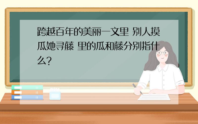 跨越百年的美丽一文里 别人摸瓜她寻藤 里的瓜和藤分别指什么?