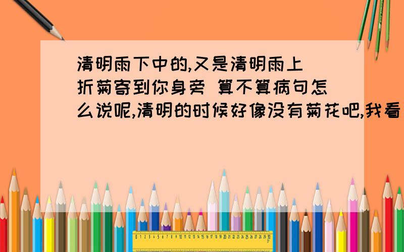 清明雨下中的,又是清明雨上 折菊寄到你身旁 算不算病句怎么说呢,清明的时候好像没有菊花吧,我看了度娘百科是说：其实把最后一句“折菊寄到你身旁”中的把“折菊”理解为“一处失误