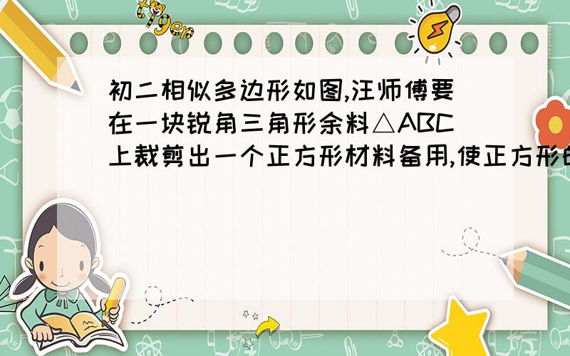 初二相似多边形如图,汪师傅要在一块锐角三角形余料△ABC上裁剪出一个正方形材料备用,使正方形的一边在BC上,其余两个顶点分贝在AB.AC上,其中BC=12CM,高AD=8CM,能裁出一个边长是多少的正方形