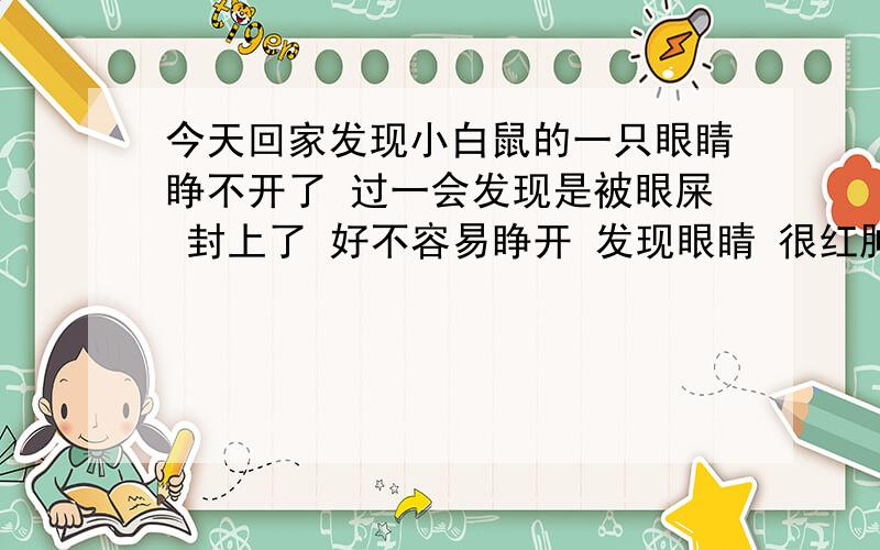 今天回家发现小白鼠的一只眼睛睁不开了 过一会发现是被眼屎 封上了 好不容易睁开 发现眼睛 很红肿 请问 我要怎么样帮助它呢~