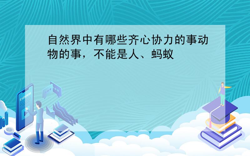 自然界中有哪些齐心协力的事动物的事，不能是人、蚂蚁