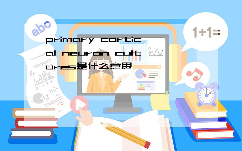 primary cortical neuron cultures是什么意思