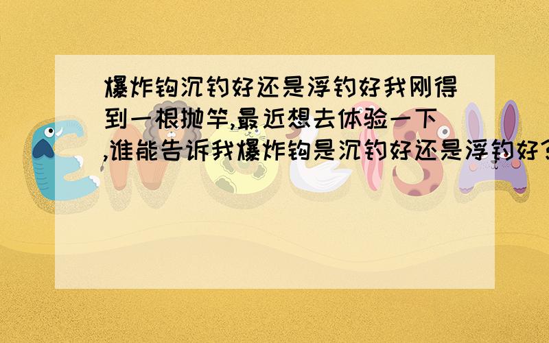 爆炸钩沉钓好还是浮钓好我刚得到一根抛竿,最近想去体验一下,谁能告诉我爆炸钩是沉钓好还是浮钓好?还有就是想去掉墉链,我应该用水怪还是爆炸钩?