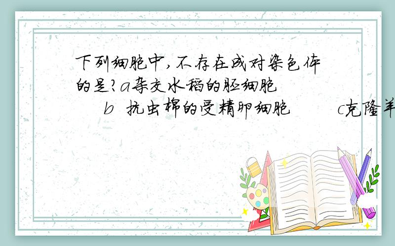 下列细胞中,不存在成对染色体的是?a杂交水稻的胚细胞       b  抗虫棉的受精卵细胞        c克隆羊的卵细胞       d克隆羊的体细胞