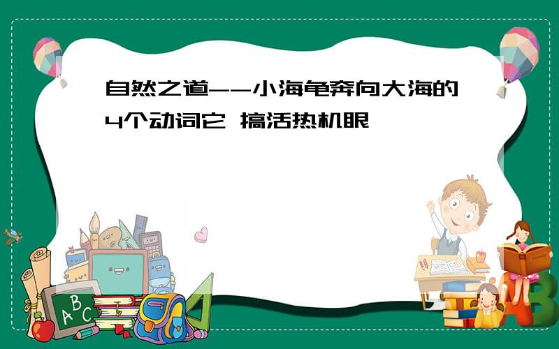 自然之道--小海龟奔向大海的4个动词它 搞活热机眼