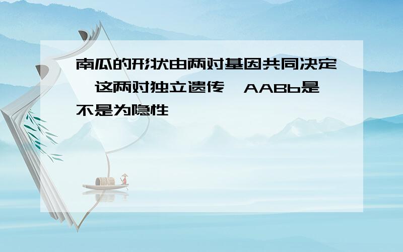 南瓜的形状由两对基因共同决定,这两对独立遗传,AABb是不是为隐性