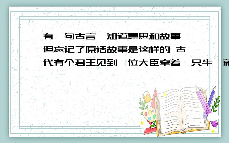 有一句古言,知道意思和故事,但忘记了原话故事是这样的 古代有个君王见到一位大臣牵着一只牛,就上前问他：“你牵着牛是要做什么” 大臣说：“我要拿它去祭祀”君王说：“它看上去太