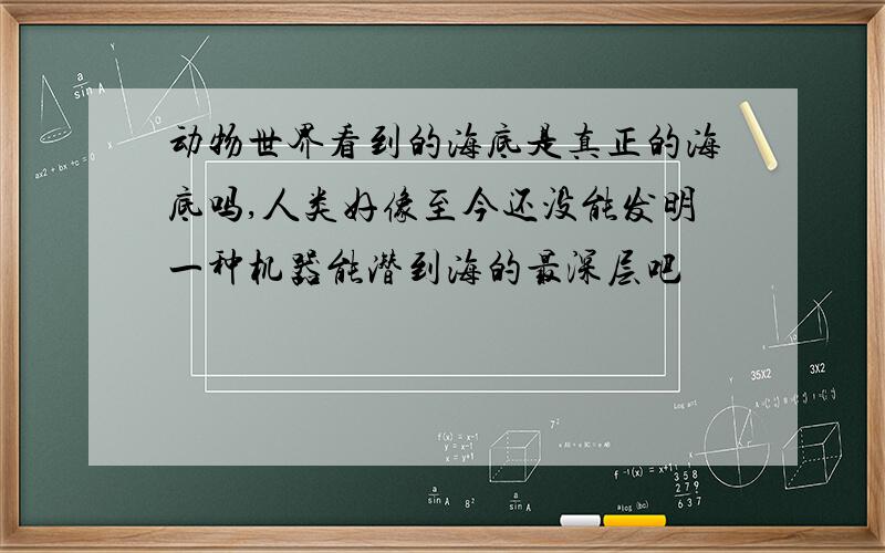 动物世界看到的海底是真正的海底吗,人类好像至今还没能发明一种机器能潜到海的最深层吧