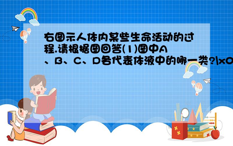 右图示人体内某些生命活动的过程.请根据图回答(1)图中A、B、C、D各代表体液中的哪一类?\x05血浆__________、组织液__________、细胞内液__________.(2)相对于内环境来说,相当于外界环境的是A、B、C