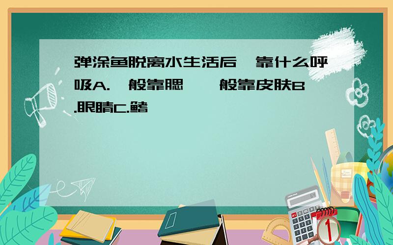 弹涂鱼脱离水生活后,靠什么呼吸A.一般靠腮,一般靠皮肤B.眼睛C.鳍