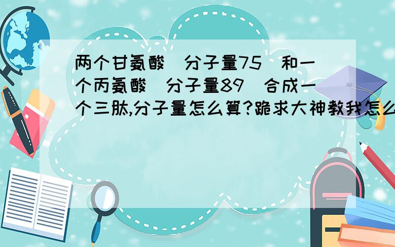 两个甘氨酸(分子量75)和一个丙氨酸(分子量89)合成一个三肽,分子量怎么算?跪求大神教我怎么算这种题.