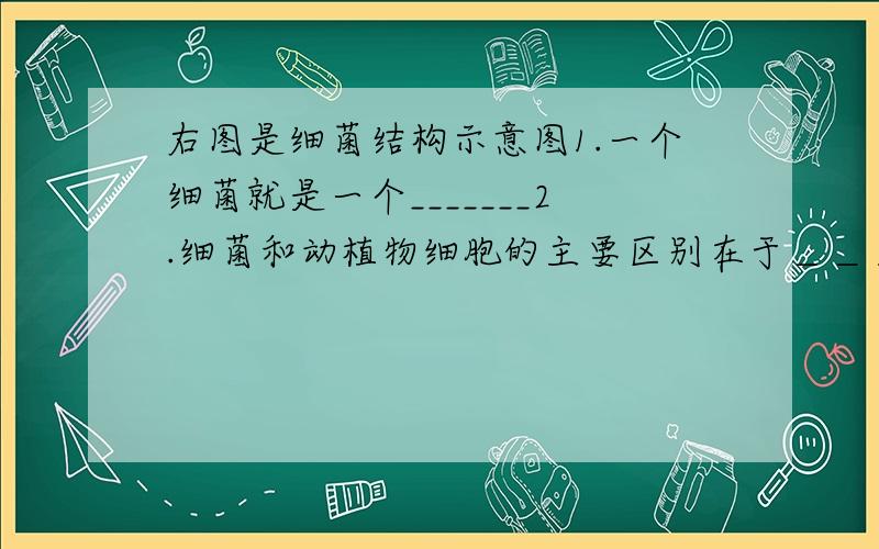 右图是细菌结构示意图1.一个细菌就是一个_______2.细菌和动植物细胞的主要区别在于＿＿＿＿＿＿,却没有形成的细胞核.相同的结构则成为＿＿＿＿＿和＿＿＿＿＿　3.大多数细菌体内没有＿