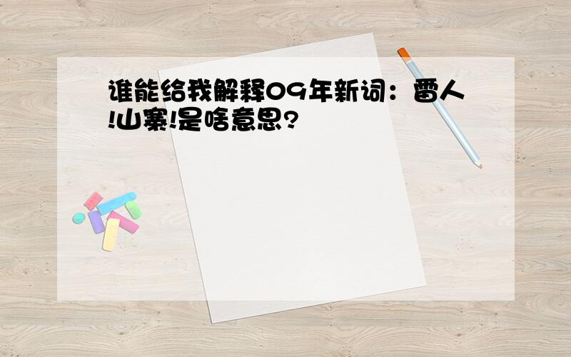 谁能给我解释09年新词：雷人!山寨!是啥意思?