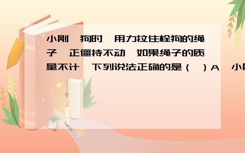 小刚遛狗时,用力拉住栓狗的绳子,正僵持不动,如果绳子的质量不计,下列说法正确的是（ ）A、小刚一定受到非平衡力的作用B、绳拉狗的力小于狗拉绳的力C、狗由于静止不动,所以没有惯性D、