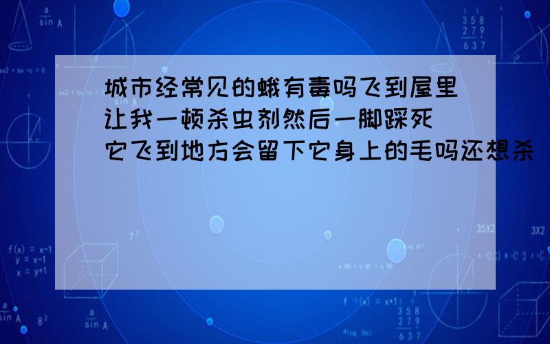 城市经常见的蛾有毒吗飞到屋里让我一顿杀虫剂然后一脚踩死 它飞到地方会留下它身上的毛吗还想杀 一百只放到一个瓶子里在用杀虫剂 看这这些害虫死掉