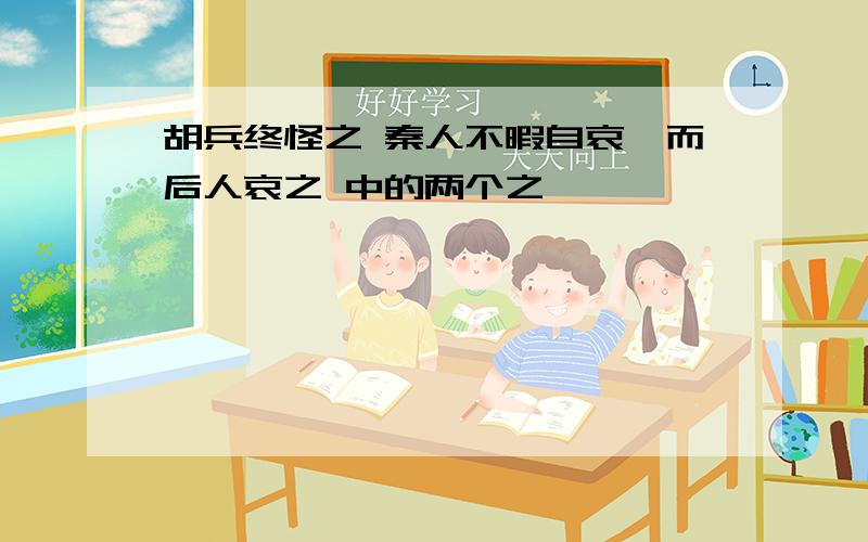 胡兵终怪之 秦人不暇自哀,而后人哀之 中的两个之,