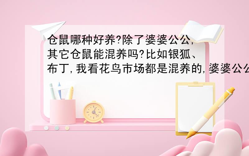 仓鼠哪种好养?除了婆婆公公,其它仓鼠能混养吗?比如银狐、布丁,我看花鸟市场都是混养的,婆婆公公太贵了,还很胆小.我是新手,介绍介绍吧还有怎样养,最好是简短一点的,太长看看伤眼,费脑