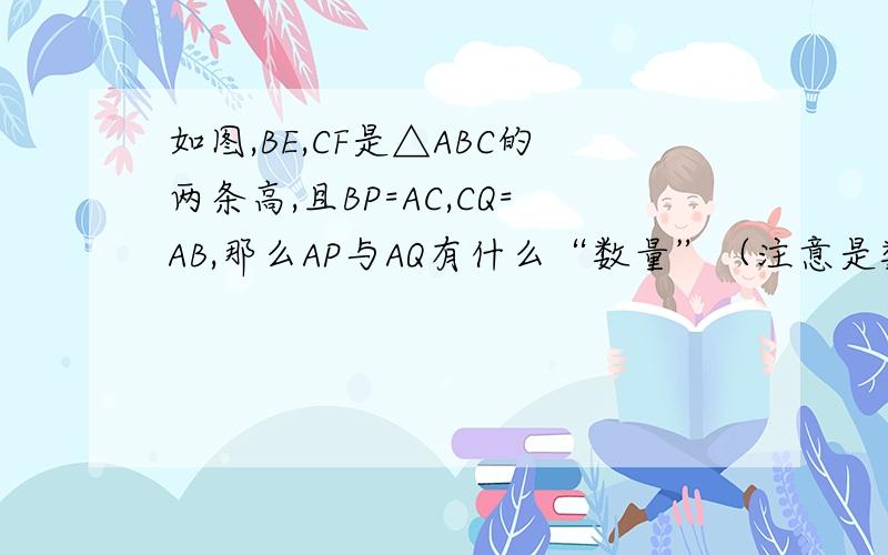 如图,BE,CF是△ABC的两条高,且BP=AC,CQ=AB,那么AP与AQ有什么“数量”（注意是数量!）关系和位置关系?