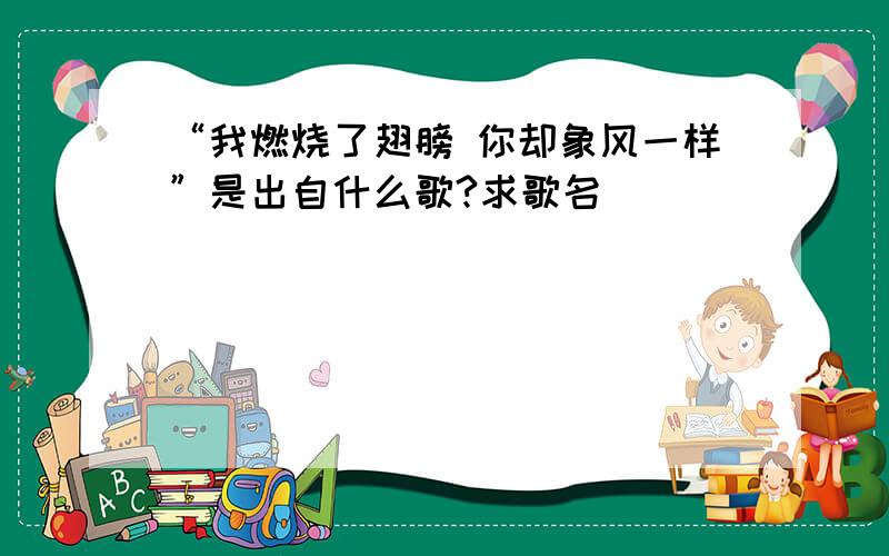 “我燃烧了翅膀 你却象风一样”是出自什么歌?求歌名